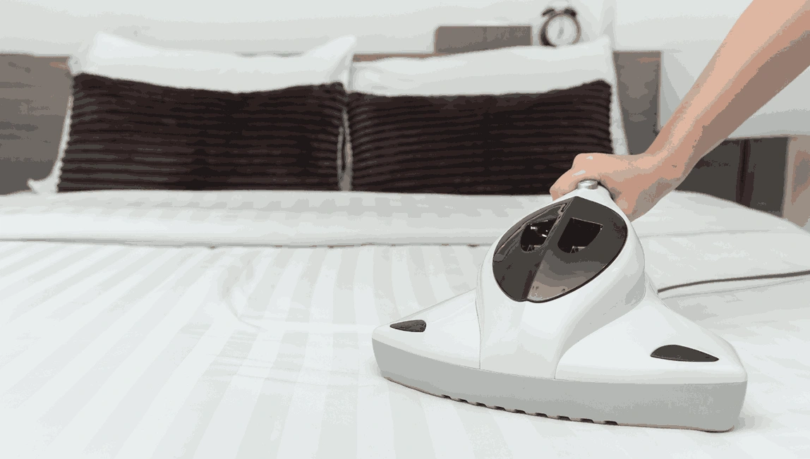 Professional Mattress Cleaning Little River